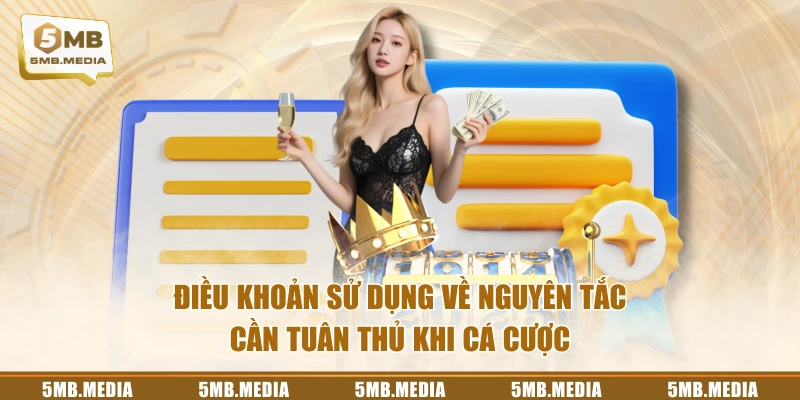 Điều khoản sử dụng về nguyên tắc cần tuân thủ khi cá cược
